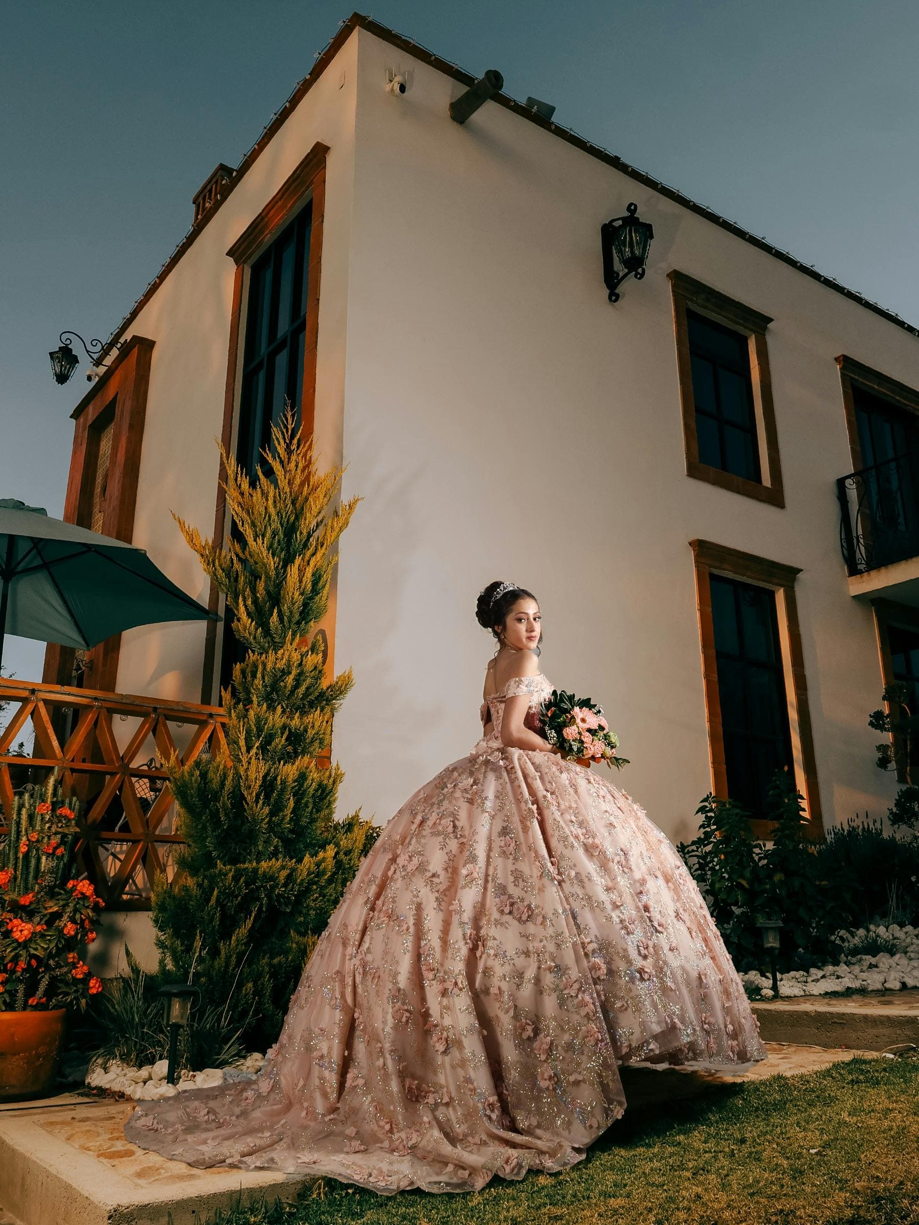 pexels luis pardo 1056514282 31330411 (1)